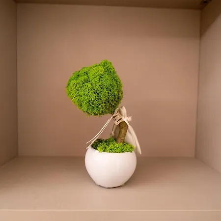 Bed & Breakfast Le Margherite Mesagne